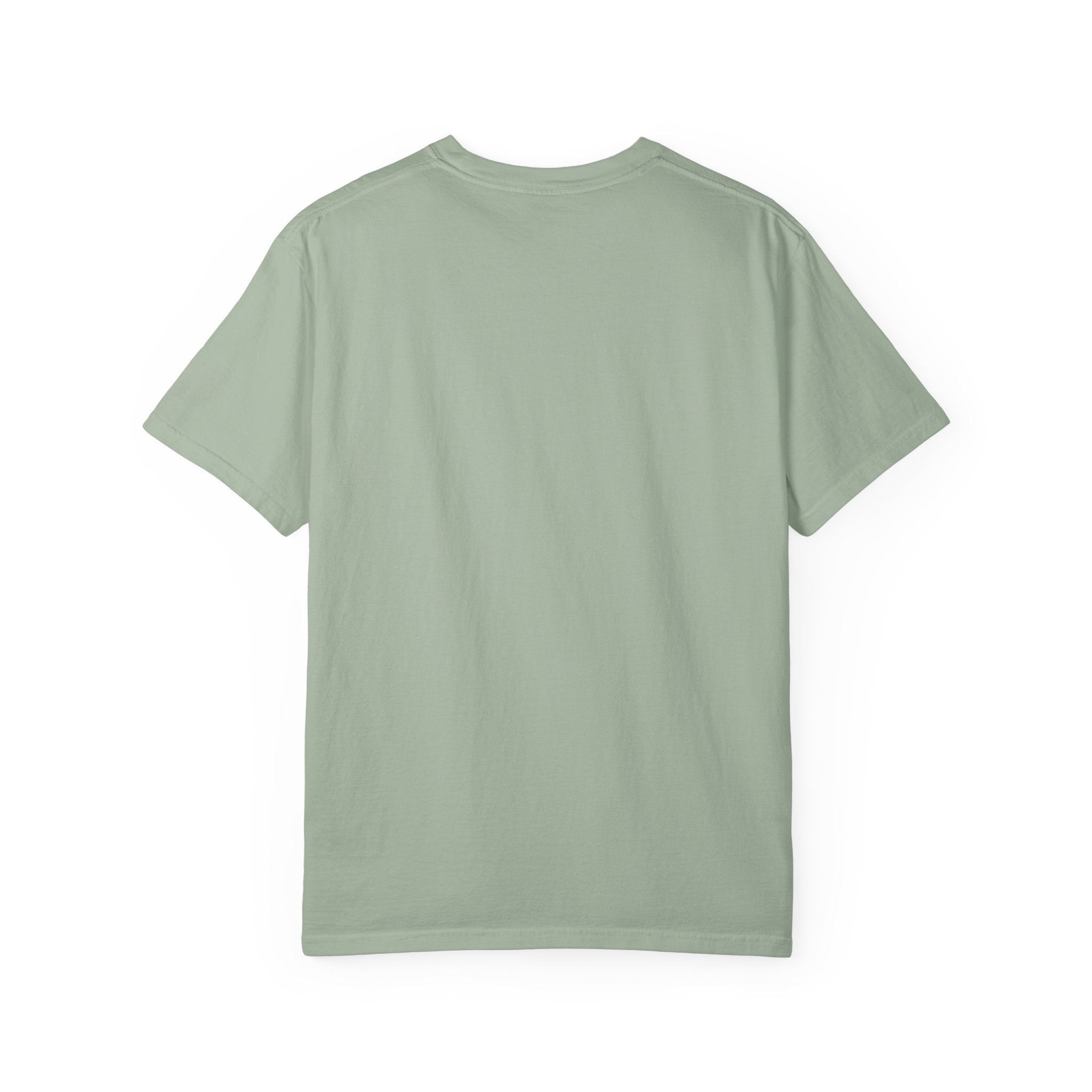 Disciple of Jesus Christ T-Shirt — Faith Graphic Tee